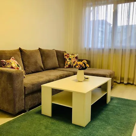 Apartment Modern With Need M7